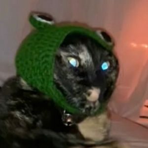 Meet your Posher, Grace